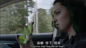 北极星 在线观看,璀璨星空下的传奇之旅
