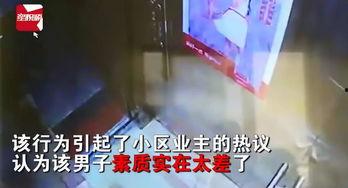 河源大事件爆料视频,揭秘视频背后的惊人真相