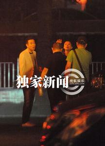 迷电视剧在线观看搜狐,搜狐独家揭秘电视剧在线观看秘境