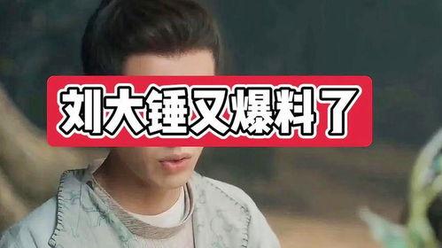郑年轻大锤爆料视频,揭秘背后惊人真相