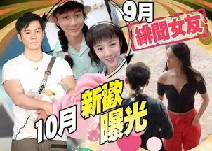 吃瓜真千金免费全集,揭秘免费全集背后的故事与真相