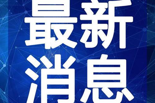 黑心主播爆料视频大全最新,视频大全背后的惊人真相